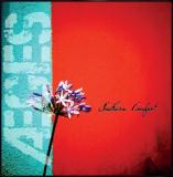 Aeges Southern Comfort 7 Inch Single B W Stars 