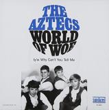 Aztecs World Of Woe Why Cant You Tell 7 Inch Single Colored Vinyl 