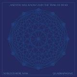 ...And You Will Know Us By The Trail Of Dead Xi Bleed Here Now (indie Retail Exclusive) 2lp 